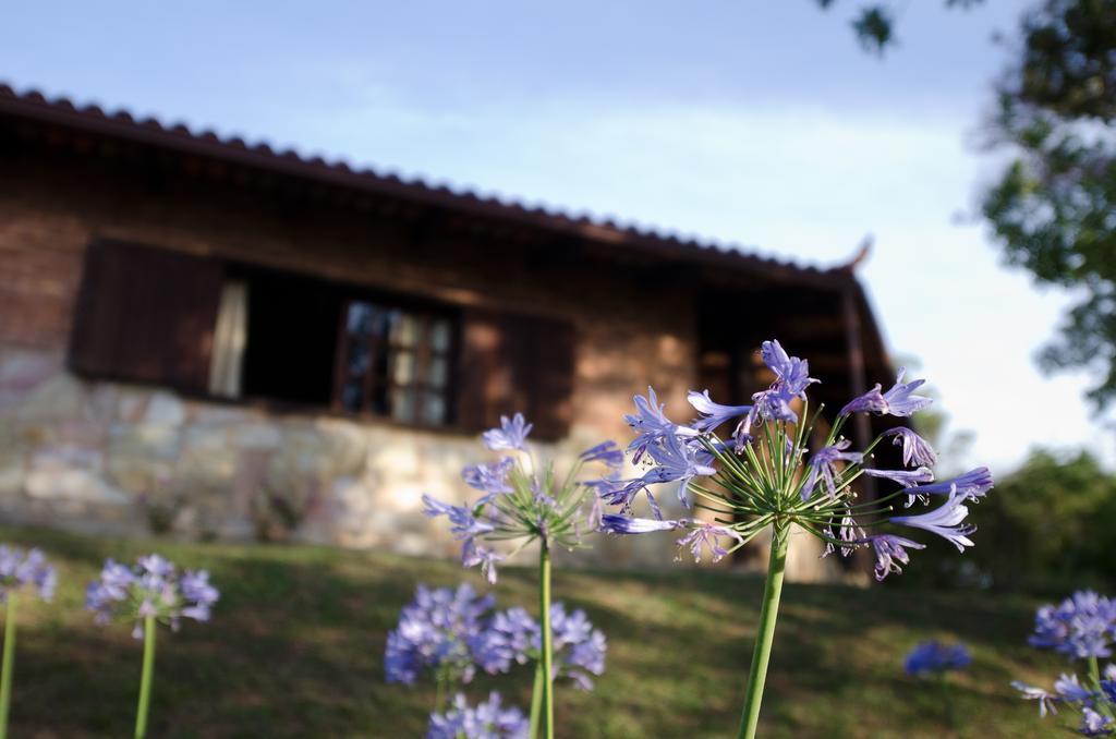 Hotel Pousada Spa Prana Lorien Santo Antônio do Leite Zewnętrze zdjęcie